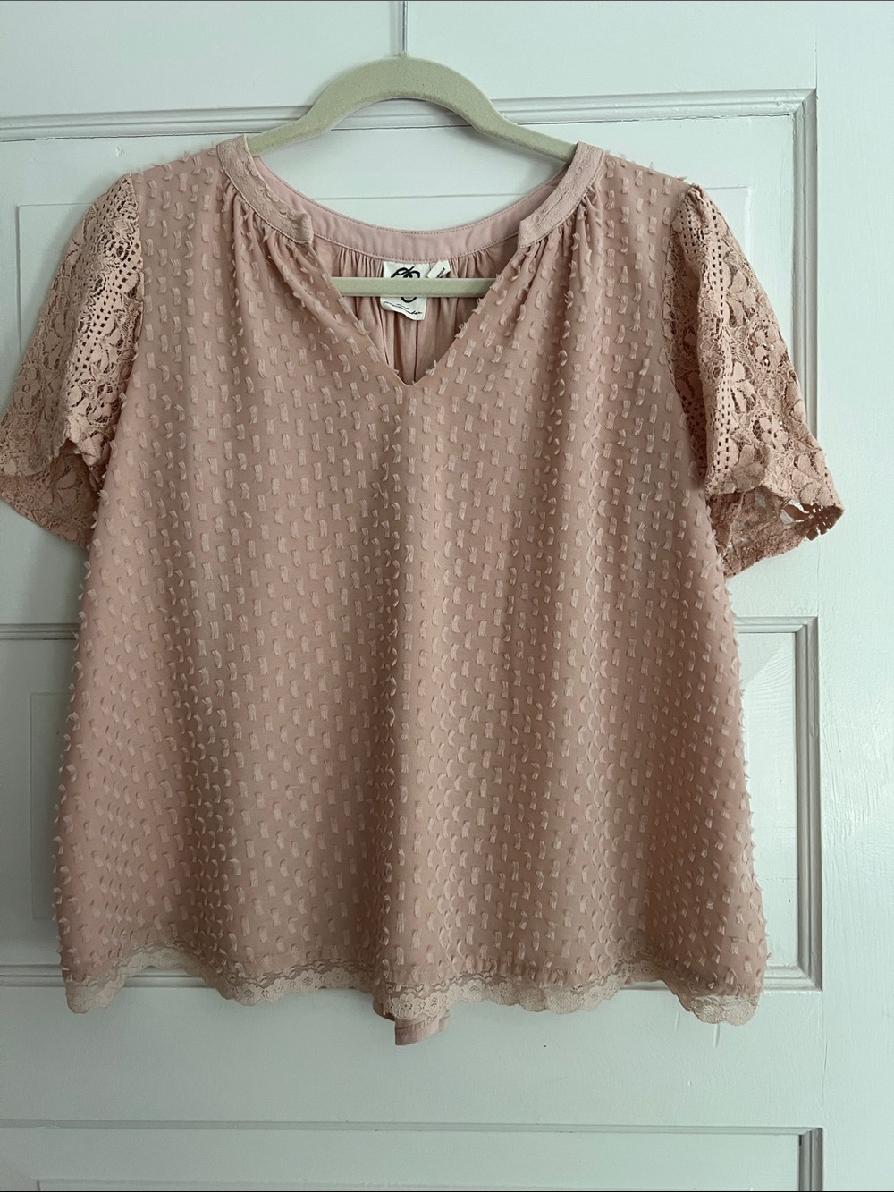 Women's Blush Pink Swiss Dot Lace Sleeve Top - Picture 1 of 3